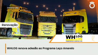 Opção 2