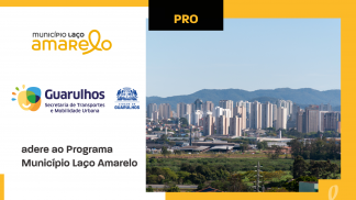 Guarulhos_LaçoAmarelo