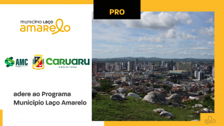 caruaru_laçoamarelo
